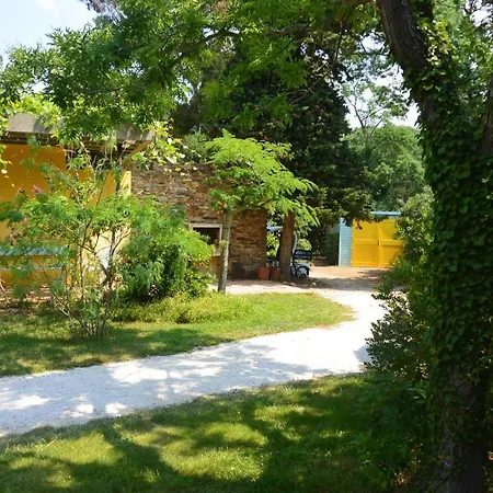 Les Pamplemousses Charmante Proche De La Villa *